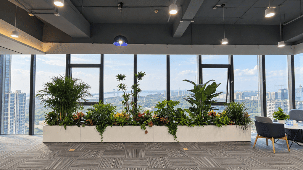 Smatek office view 1
